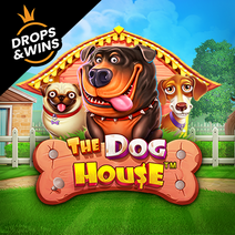 Sloturi The Dog House