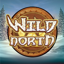 Sloturi Wild North
