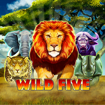 Sloturi Wild Five