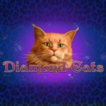 Diamond Cats