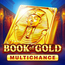 Slot Book of Gold: Multichance